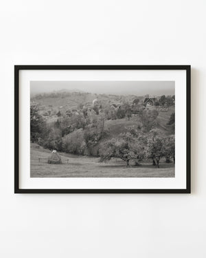 Romanian hillside homes and a haystack among trees in black and white