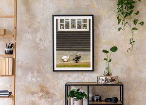 Rustic cottage wall with weathered timber boards and a white window frame
