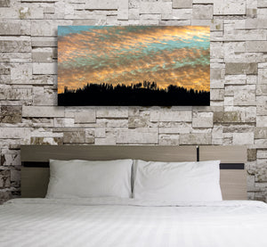 Layered sunset clouds above an uneven line of evergreen trees