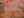 Colour photograph of overlapping names, messages and drawings on a Roman wall