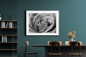 Monochrome Blumenfotografie