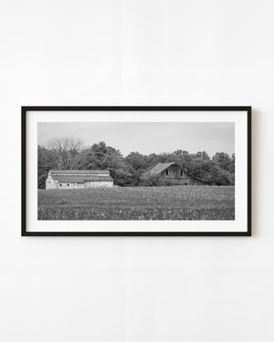Weathered Indiana barn and farm building beyond a harvested field