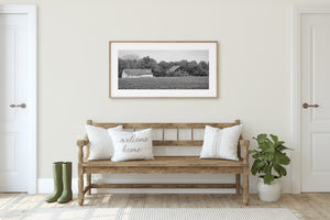 Aging farm structures at the edge of a tree-lined rural landscape