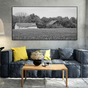 Two weathered rural buildings framed by trees beneath an open sky