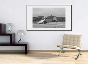 Maine farm landscape with shingled barns beneath an overcast sky