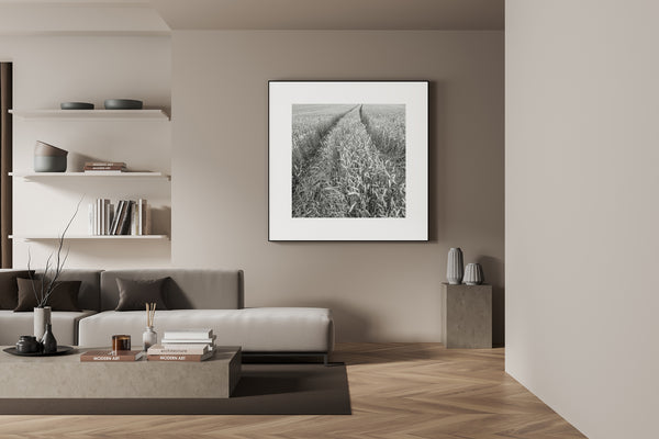 Canadian wheat field monochrome