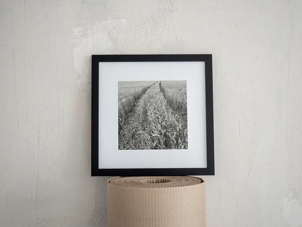 Rural landscape wheat field black and white