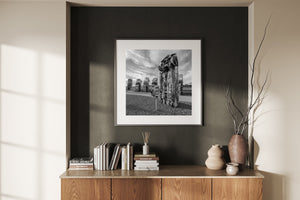 Route 66 Slug Bug Ranch public art sculpture in black and white