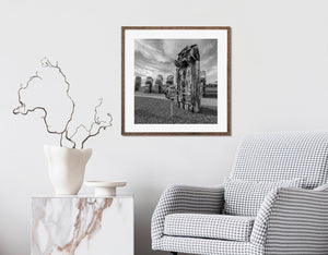 Abstract graffiti patterns on beetles in public art setting