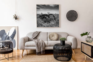 Rusting tractor reclaimed by Saskatchewan prairie