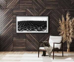Black and white geometric detail of the SAHMRI exterior