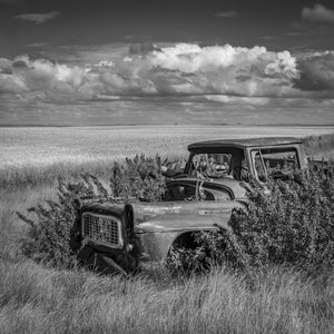 Rusting vintage truck surrounded by prairie grass Saskatchewan landscape