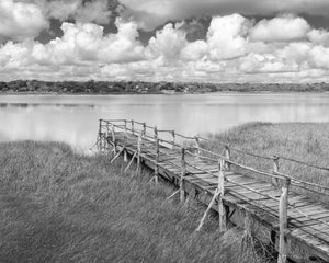 Tranquil Black and White Mexican Wetlands Scene
