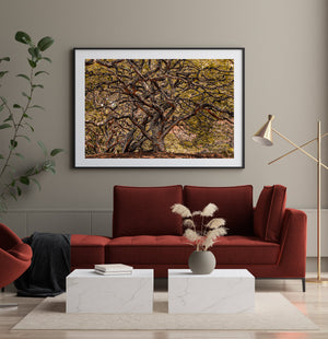 Untouched forest wall decor