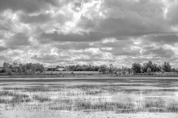 Peaceful barn and marsh landscape black and white