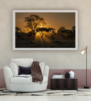 Paisaje de Tanzania con ilustraciones de árboles de silueta