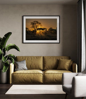 Naturaleza pacífica del atardecer del Serengeti Fine Art