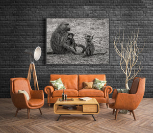 Monochrome baboon family resting on dry grass in the Serengeti