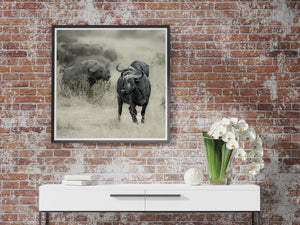 Curved horns and textured hide of a Serengeti Cape buffalo