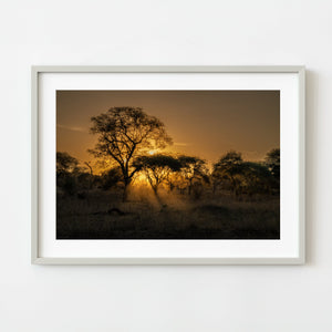 Serengeti Sunset Tanzania Fine Art Wall Print