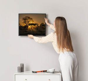 Backlit Trees Serengeti Sunset Photography