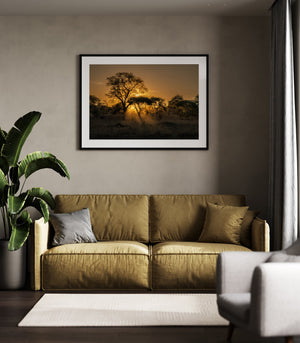 Peaceful Serengeti Sunset Nature Fine Art