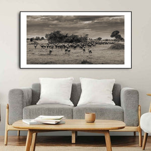 Massentierbewegung in der Serengeti