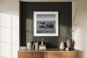 Two adult elephants and a calf crossing the Serengeti plains