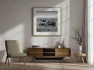 Elephant calf moving beside adults in long Serengeti grass