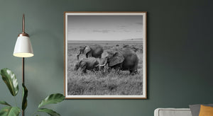 Three elephants beneath an open sky on the Tanzania plains
