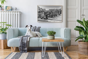 Fortress cannons in Havana city scene