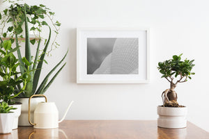 Iconic Sydney landmark in black and white