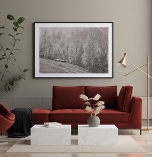 Black and white pastoral scene across rolling wooded slopes