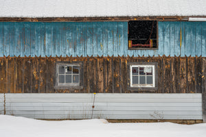 Blue barnboard on rural Ontario barn in winter