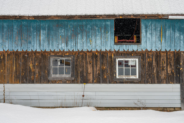 Blue barnboard on rural Ontario barn in winter