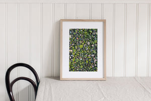 Small round rocks from beach Cape Breton Nova Scotia | Photo Art Print fine art photographic print