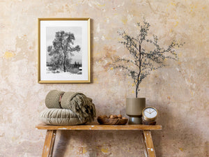 Monochrome photograph of an old farm tree in winter