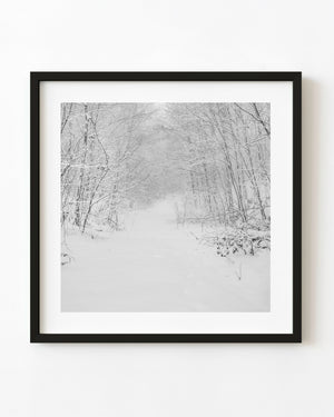 Snow-covered Canadian forest path in a winter photograph