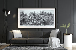Layers of white snow resting on dark evergreen boughs