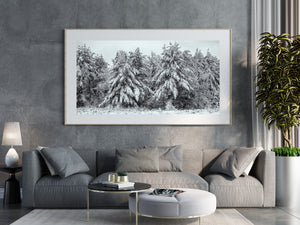 Canadian winter forest stretching across a panoramic photograph