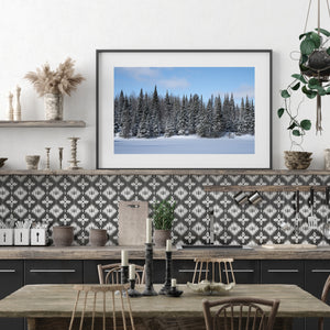 Haliburton forest edge with tall pointed evergreens and fresh snow