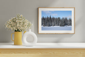 Colour landscape of snowy trees beneath soft clouds and blue sky