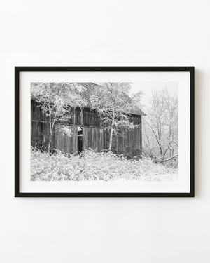 Snow-covered Ontario barn in black and white