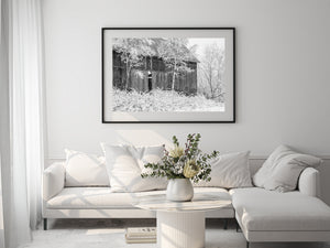 Monochrome winter farm scene with an old barn and snowy trees