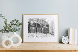 Snow outlining fine branches against dark barn boards