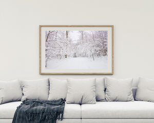 Pale winter woodland with dark twigs and thick fresh snow