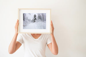 Pale winter landscape with dark conifers and a snowy path