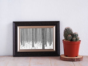 Repeated vertical trunks receding through a quiet Haliburton forest