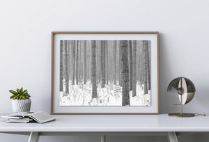 Black and white landscape of evenly spaced winter forest trunks