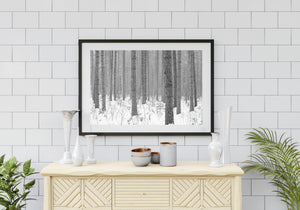 Snowy undergrowth and tall trees in Haliburton County woodland
